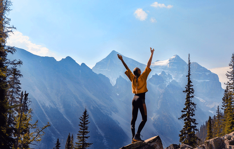 You are currently viewing Manifest Wealth Effortlessly: A Powerful Wealth Switch Review