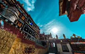 Read more about the article Prosperity Abundance Awaits: Shambala Secret Review & Transformation